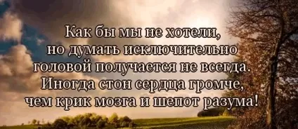 Цитати про серце