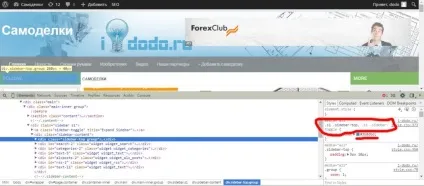 Css wordpress