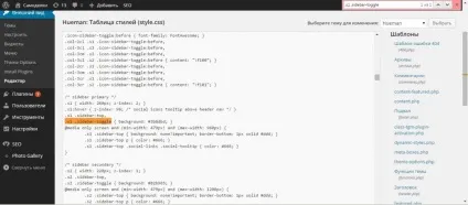 Css wordpress