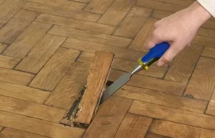 Циклювання паркету своїми руками і подальша обробка (руками) Циклювання паркету своїми руками і подальша обробка