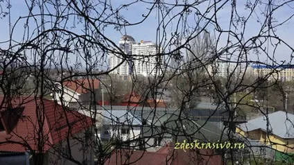 Квіти для балкона сонячна сторона (сторона) Квіти для балкона сонячна сторона