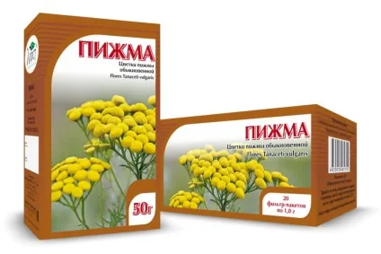 Квітки пижма - корисні властивості і застосування при лікуванні хвороб людини (властивості) Квітки пижма - корисні властивості і застосування при лікуванні хвороб людини