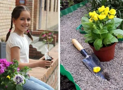 Квітник біля під'їзду своїми руками на (руками) Квітник біля під'їзду своїми руками на