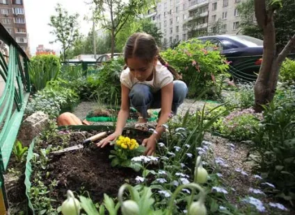 Квітник біля під'їзду своїми руками на (дизайн ділянки) Квітник біля під'їзду своїми руками на