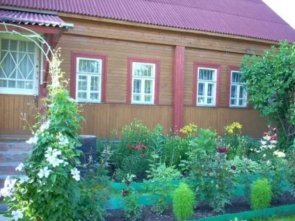 Квітники на дачі види та критерії вибору (протягом усього сезону) Квітники на дачі види та критерії вибору