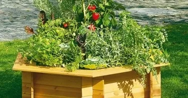Декоративний квітник у тачці своїми руками (руками) Декоративний квітник у тачці своїми руками