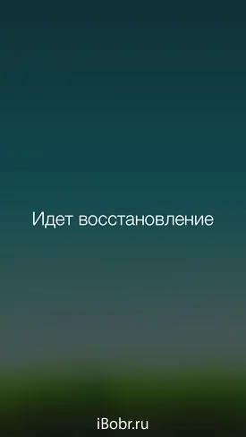 Робимо відсотки заряду в ipod touch - інструкція