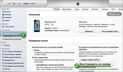 Робимо відсотки заряду в ipod touch - інструкція
