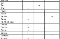 Дерев'яний будинок або цегляний який краще вибрати (вибрати) Дерев'яний будинок або цегляний який краще вибрати