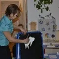 Дидактична гра «що корисно і що шкідливо для зубів» (шкідливо) Дидактична гра «що корисно і що шкідливо для зубів»