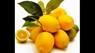 Дієта при подагрі меню дієти № 6 (подагрі) Дієта при подагрі меню дієти № 6