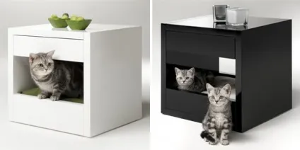 Дизайн для котів, fresher - найкраще з рунета за день! (Fresher) Дизайн для котів, fresher - найкраще з рунета за день!
