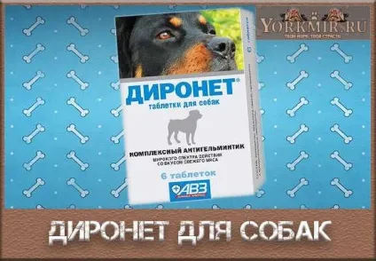 Діронет для собак, інструкція із застосування, ціна (інструкція) Діронет для собак, інструкція із застосування, ціна