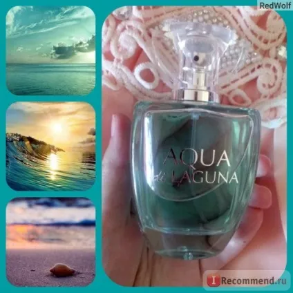 Dilis aqua di laguna - «як би не було сумно, але я зіпсована картину цього аромату (laguna) Dilis aqua di laguna - «як би не було сумно, але я зіпсована картину цього аромату