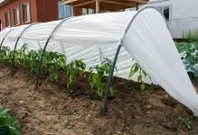 Маленькі теплиці дачі з полікарбонату, парник невеликий своїми руками, фото і розміри, на ділянці (дачі) Маленькі теплиці дачі з полікарбонату, парник невеликий своїми руками, фото і розміри, на ділянці