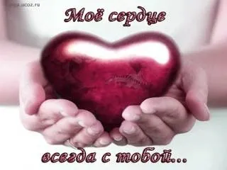 улюбленому Міші