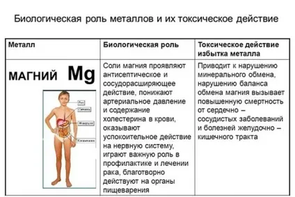 Магній в організмі, худнемо у нас (магній) Магній в організмі, худнемо у нас