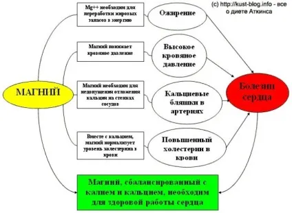 Магній в організмі, худнемо у нас (організмі) Магній в організмі, худнемо у нас