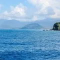 Щоденник холостяка тиждень друга новини великого міста