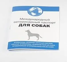 Документи для перевезення собак (документи) Документи для перевезення собак