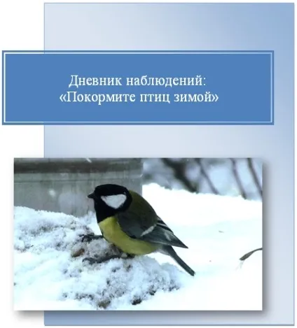 Щоденник спостережень «погодуйте птахів взимку» (сайт школи) Щоденник спостережень «погодуйте птахів взимку»