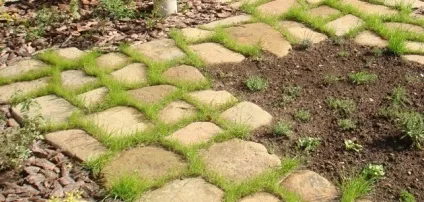 Доріжки з піщанику своїми руками на ділянці (пісковика своїми руками) Доріжки з піщанику своїми руками на ділянці