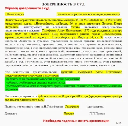Довіреність в суд від юридичної особи (довіреність) Довіреність в суд від юридичної особи