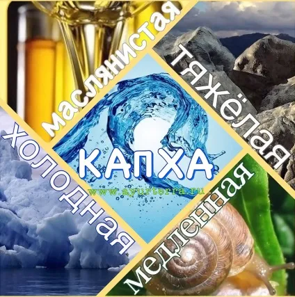 Доша капха опис і харчування за аюрведою (доша) Доша капха опис і харчування за аюрведою