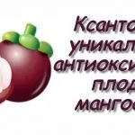 Джікама опис, факти і корисні властивості (факти) Джікама опис, факти і корисні властивості