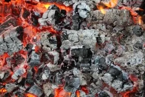 Деревна зола як добриво, для (добриво грунту золою) Деревна зола як добриво, для