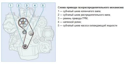 Двигуни лади Ларгус пристрій, грм, характеристики, новини автомобільного світу (Ларгус) Двигуни лади Ларгус пристрій, грм, характеристики, новини автомобільного світу