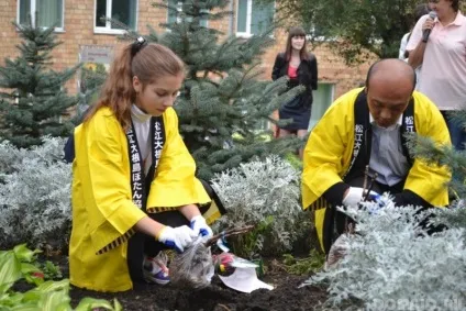 Деревовидні півонії, їх різновиди, особливості вирощування та рекомендації по догляду (деревовидні) Деревовидні півонії, їх різновиди, особливості вирощування та рекомендації по догляду