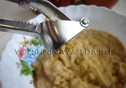 Деруни з м'ясом, рецепт з фото, як готувати картопляні деруни з м'ясом, чарівна (картопляні деруни м'ясом) Деруни з м'ясом, рецепт з фото, як готувати картопляні деруни з м'ясом, чарівна