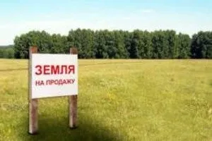 Експлікація земельних ділянок що це таке, для чого призначена і де вона оформляється