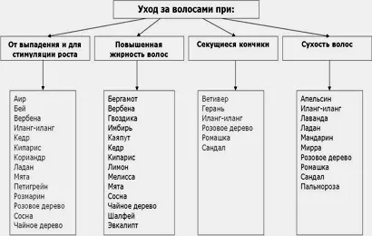 Ефірні масла для лікування волосся, успіх з neways (ефірні масла) Ефірні масла для лікування волосся, успіх з neways