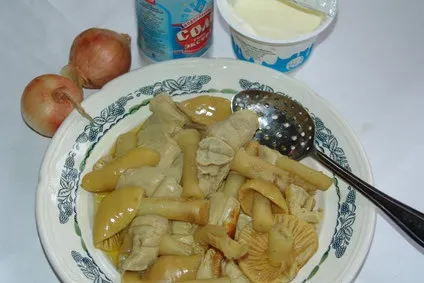Їмо червоний мухомор