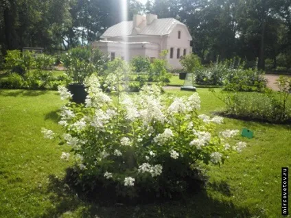 Екскурсія по Петергофу