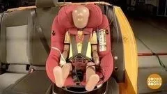 Електронні ПТС навіщо вони потрібні доброго ранку ( «Голос» Зйомка прихованою камерою) Електронні ПТС навіщо вони потрібні доброго ранку