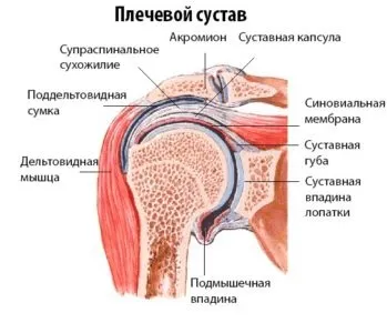 Ендопротезування плечового суглоба - причини, показання та протипоказання (показання) Ендопротезування плечового суглоба - причини, показання та протипоказання