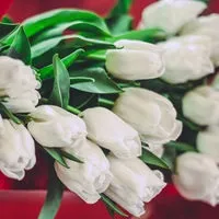 Якби знала, що можна просто на вулиці торгувати, на державу б ні дня в житті не працювала! »(Вулиці) Якби знала, що можна просто на вулиці торгувати, на державу б ні дня в житті не працювала! »