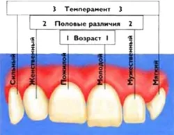 Естетика в стоматології - Полтаваскій стоматологічний портал (особи) Естетика в стоматології - Полтаваскій стоматологічний портал