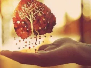 Якщо не думати про сенс життя (життя) Якщо не думати про сенс життя