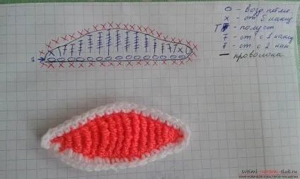 Цей докладний майстер-клас розповість як зв'язати своїми руками орхідею за схемою гачком (зв'язати) Цей докладний майстер-клас розповість як зв'язати своїми руками орхідею за схемою гачком