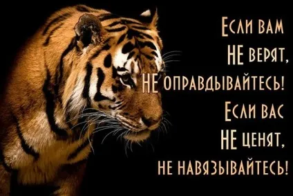Якщо вам не вірять, ніколи не виправдуйтеся! (Леді муррр) (муррр) Якщо вам не вірять, ніколи не виправдуйтеся! (Леді муррр)