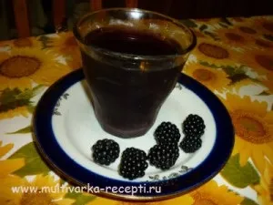 Евіталія в мультиварці (йогурт з евіталіі) (мультиварці) Евіталія в мультиварці (йогурт з евіталіі)