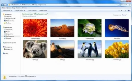 Файл thumbs db що це і як його видалити (відключити) (відключити) Файл thumbs db що це і як його видалити (відключити)