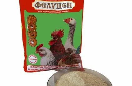 Фелуцен для курей інструкція, відгуки і огляд складу (Фелуцен) Фелуцен для курей інструкція, відгуки і огляд складу