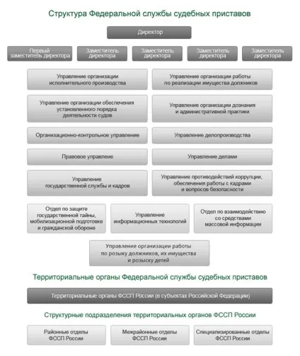 Федеральна служба судових приставів повноваження, система органів - студопедія (безкоштовно) Федеральна служба судових приставів повноваження, система органів - студопедія