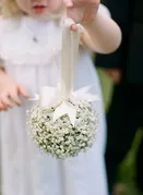 Флористика в деталях гипсофила на весіллі (гіпсофіла) Флористика в деталях гипсофила на весіллі