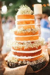 Флористика в деталях гипсофила на весіллі (гіпсофіла) Флористика в деталях гипсофила на весіллі